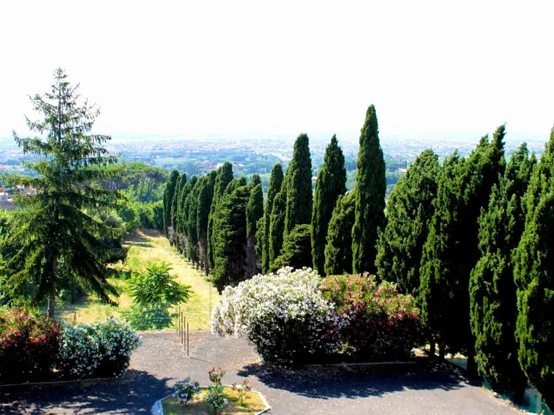 Il giardino con i cipressi