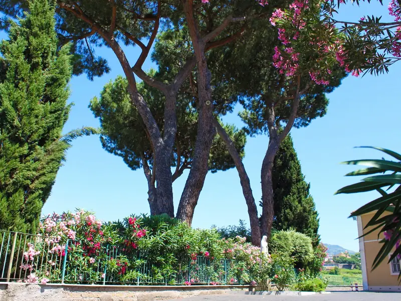 Aiuole fiorite e palme nel giardino