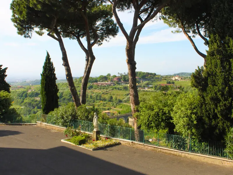 I pini del giardino e il panorama