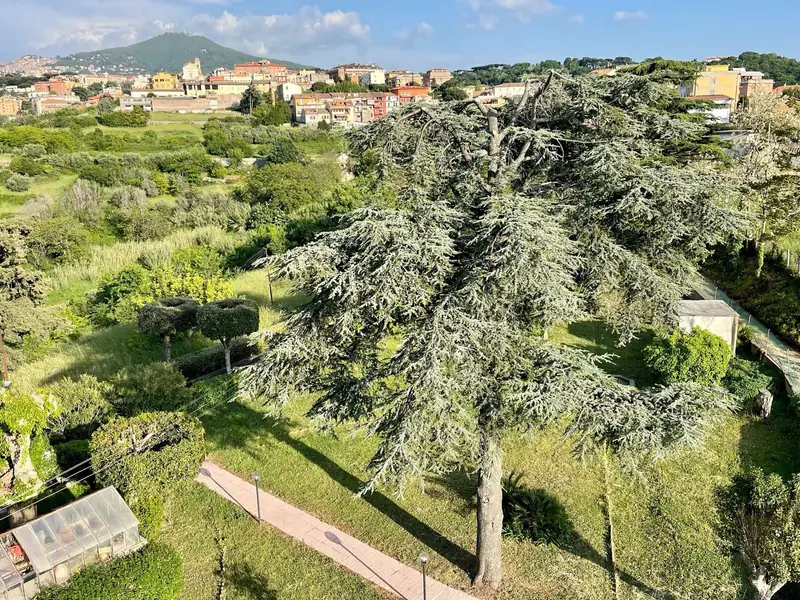 Il giardino con vista su Roma
