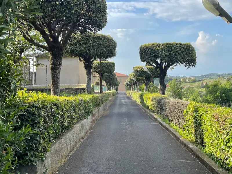 Il viale alberato d’accesso
