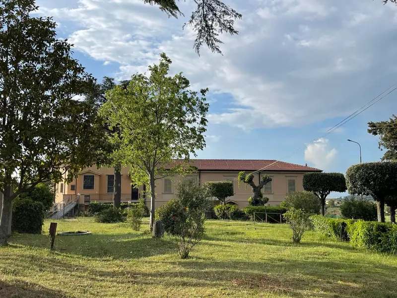 Il prato e gli alberi del parco